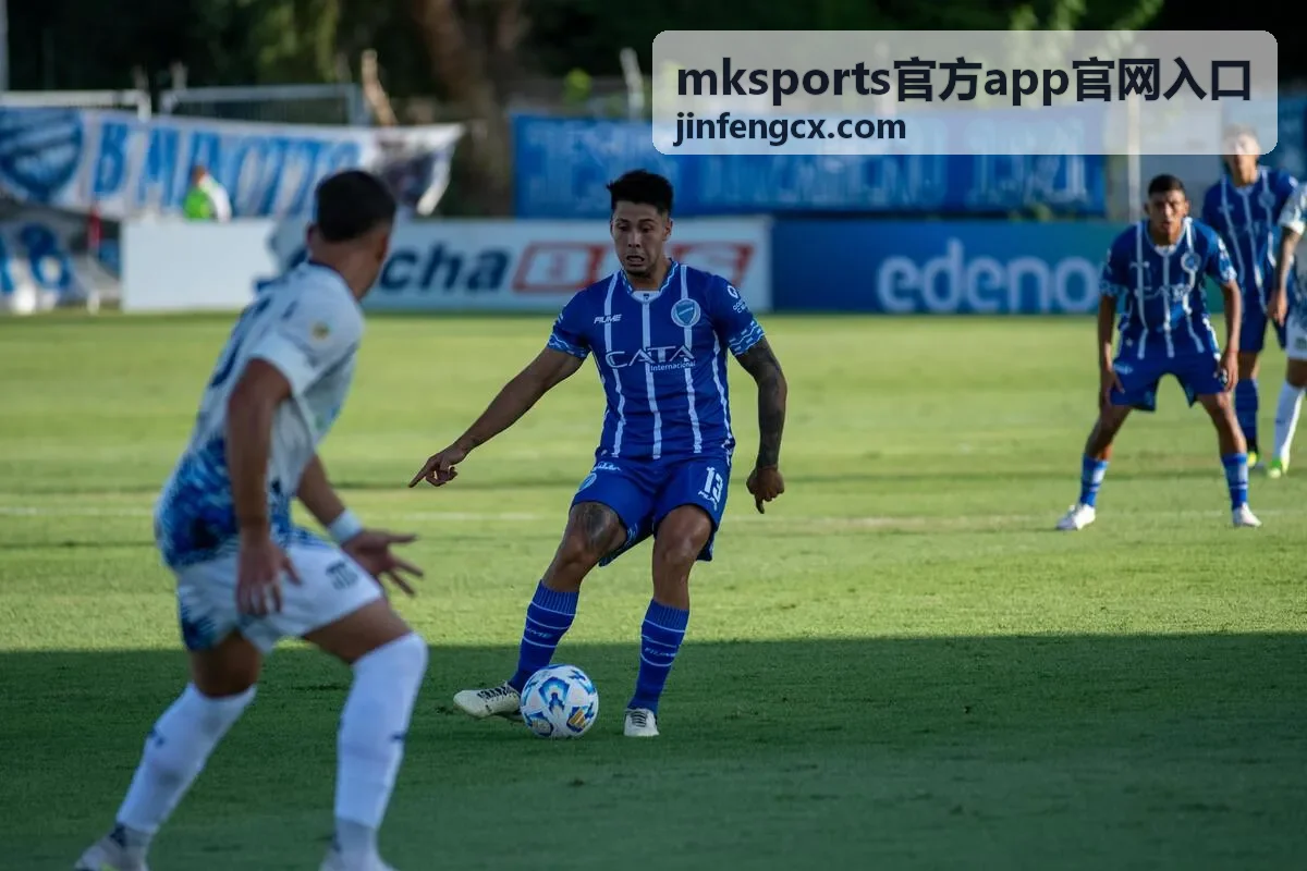 mksports官方app官网入口入口页面打不开排查