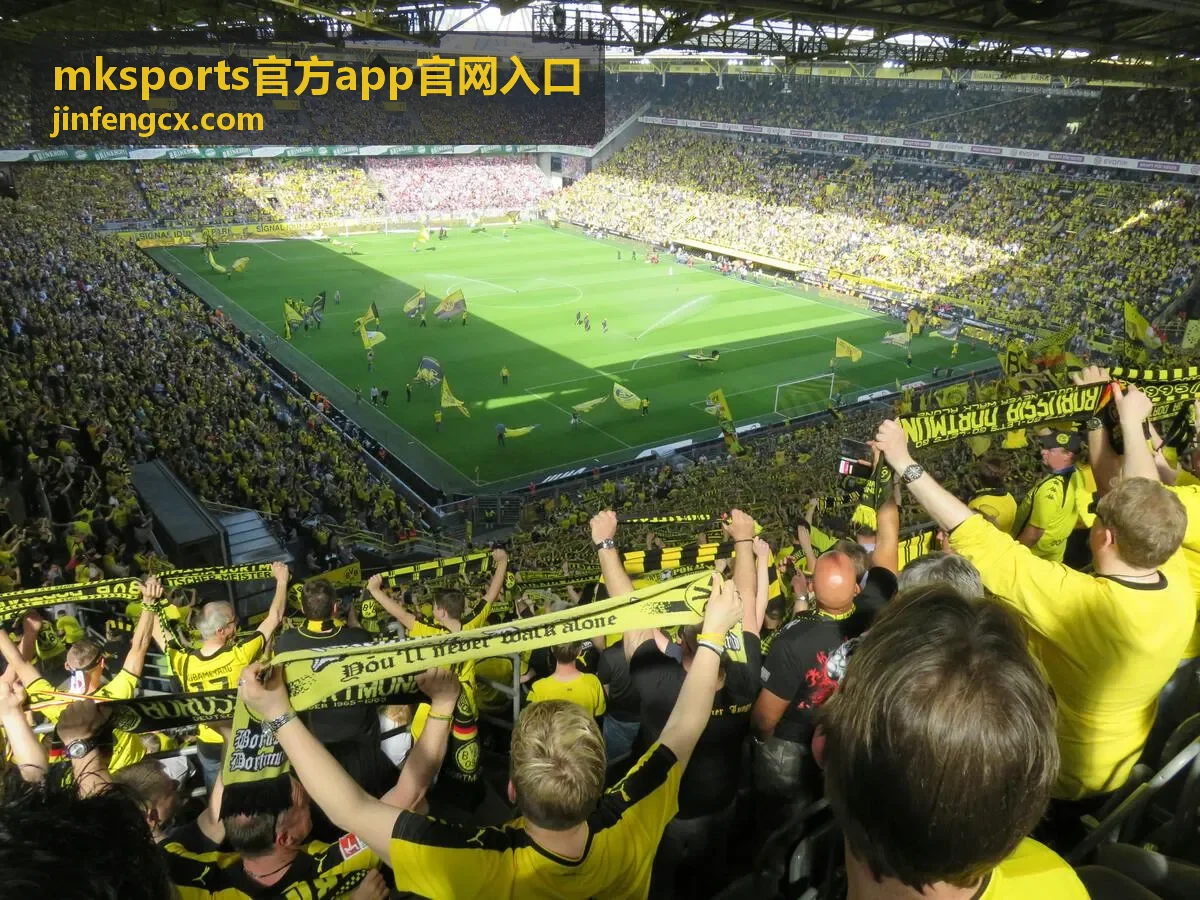mksports官方app官网入口iOS安装说明