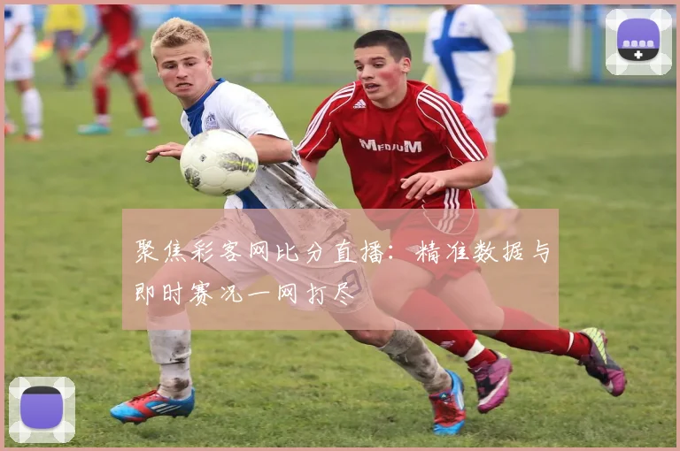聚焦彩客网比分直播：精准数据与即时赛况一网打尽