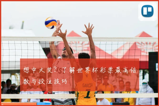 想中大奖?了解世界杯彩票最高倍数与投注技巧