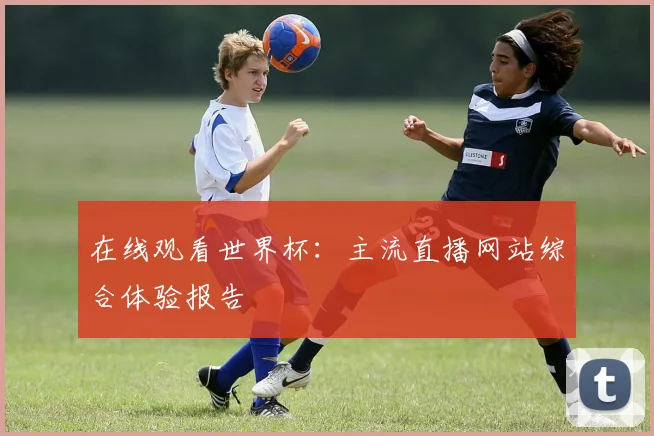 在线观看世界杯：主流直播网站综合体验报告