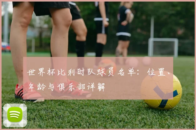 世界杯比利时队球员名单：位置、年龄与俱乐部详解