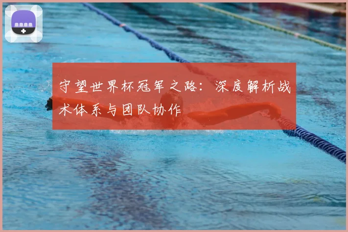 守望世界杯冠军之路：深度解析战术体系与团队协作