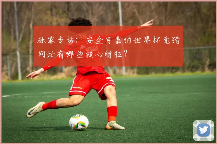 独家专访：安全可靠的世界杯竞猜网址有哪些核心特征？