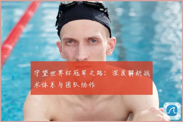 守望世界杯冠军之路：深度解析战术体系与团队协作