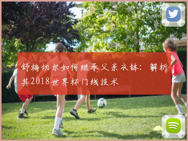 舒梅切尔如何继承父亲衣钵：解析其2018世界杯门线技术