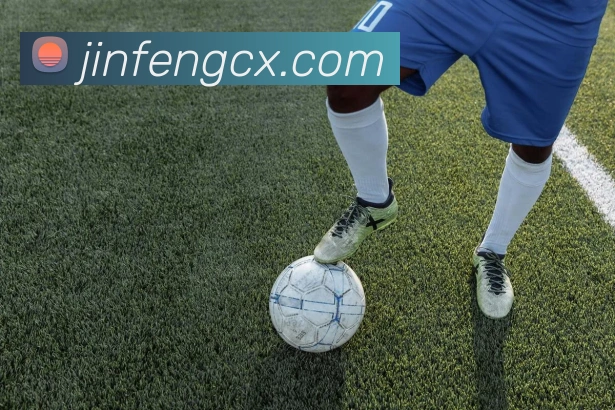mksports官网登录入口发展历程